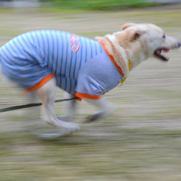 7dc4cb41 f038 4ede b221 f668b568a82f