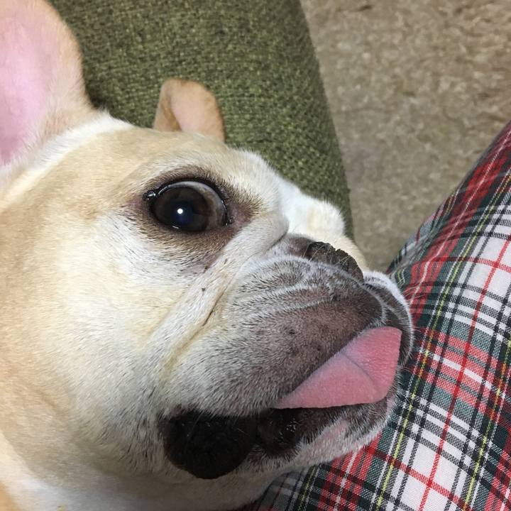 7dc5b97b 6fbe 4455 9d5d 628bdc5b817c