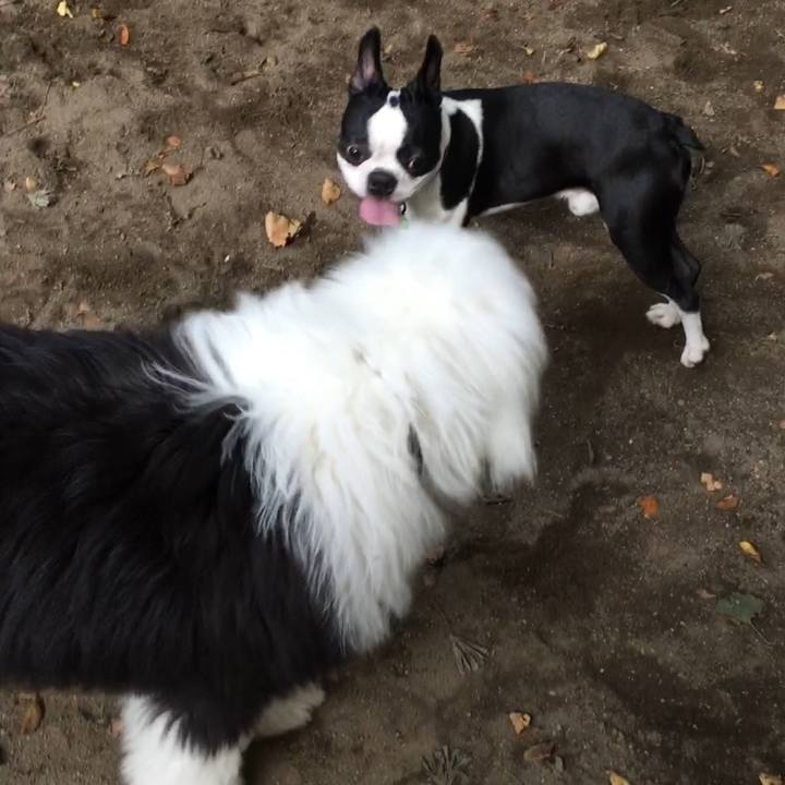 7dc5c385 7024 41d7 a5c6 c882f09e0a1b