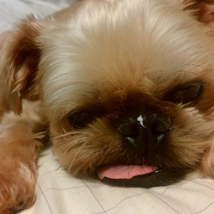 7dc5e8a3 dad0 465a 9fb3 edac312a0d15