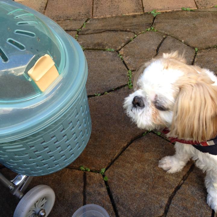 7dc610bf e726 4203 b47d f599506e1809