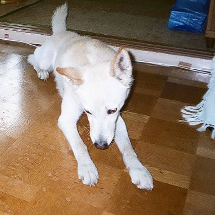 7dc63e6f 73c1 49a1 923d 0a397c48934e