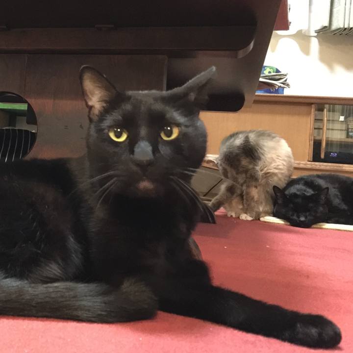 7dc66d06 14db 4aed 9c63 a614f1827f6e