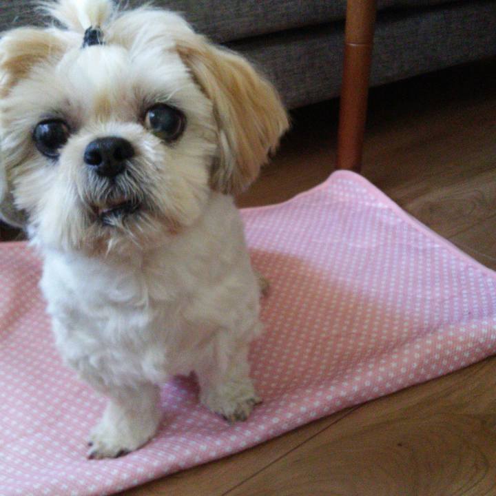 7dc6b6d5 04f4 4584 a550 8261d2ce5fcf