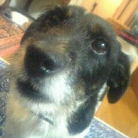 7dc70841 f498 4a82 a3a7 0e82bc6ad645