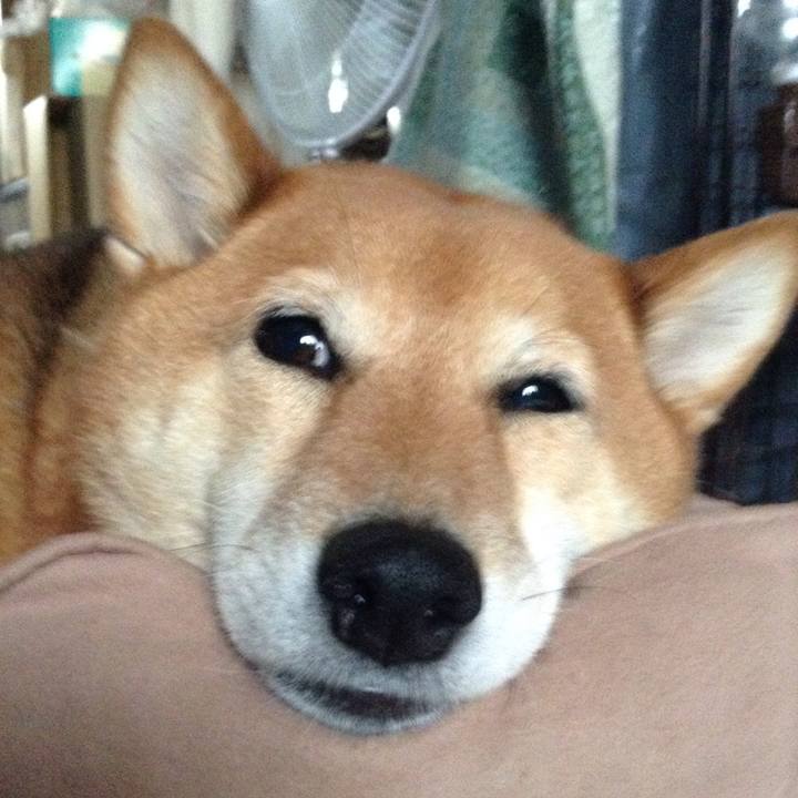 7dc72fa8 d145 4997 8f7c 2b4c3de4447e