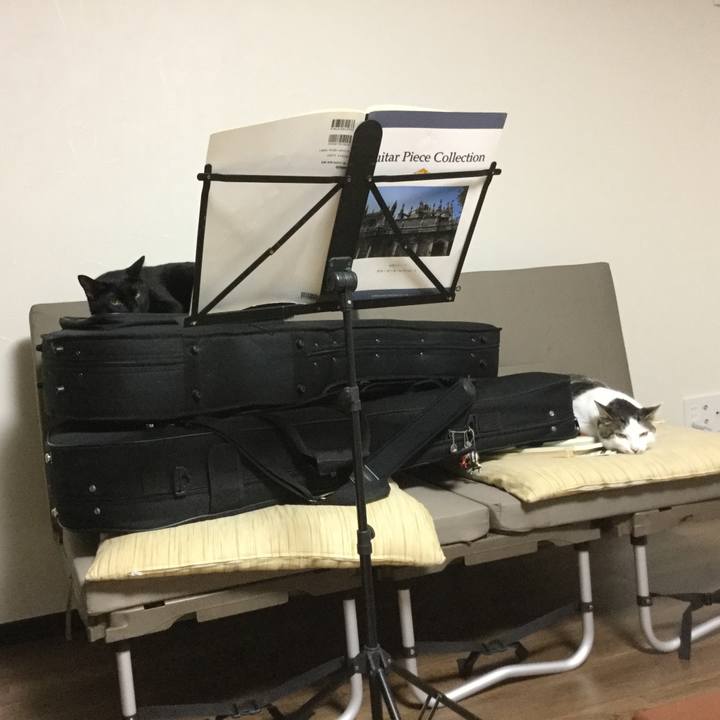 7dc74133 7c20 4b08 8032 7ca8c0e9545d