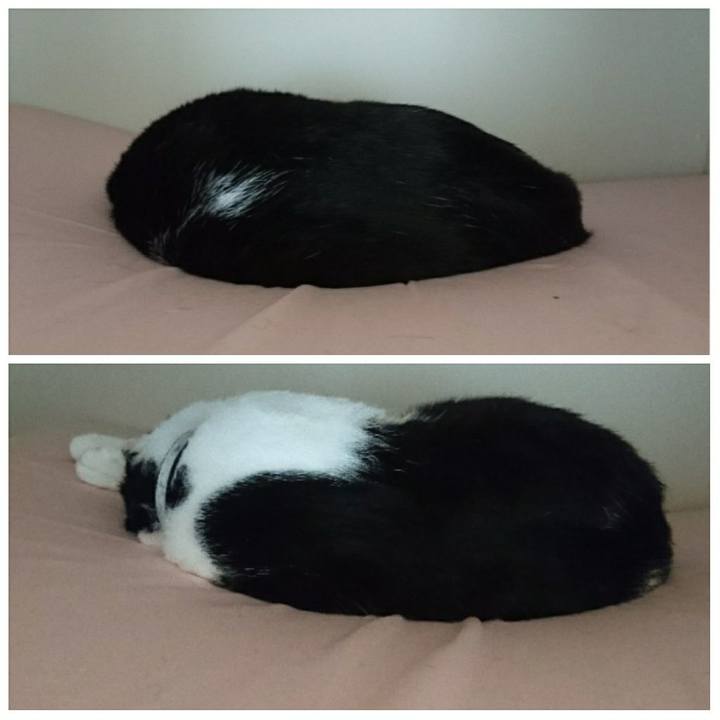 7dc7de93 7652 4190 a4d8 4585cbd5d29b