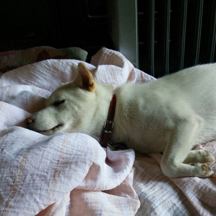 7dc81055 c429 4dfe a26a 21a55786bd93