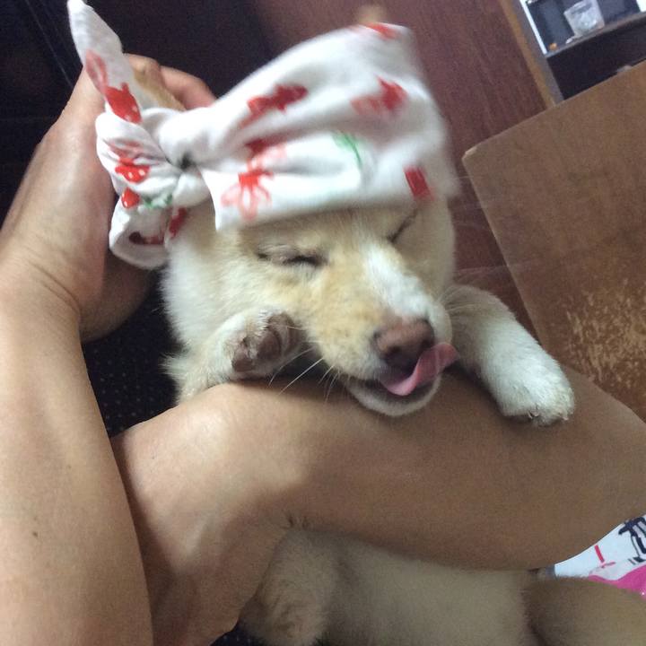 7dc8779c a389 4cd4 8e31 c62411568ce3