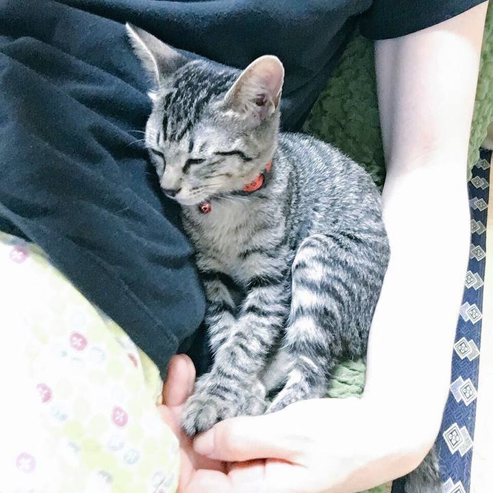 7dc90a9e a879 4fad b642 6fbe0fc9ec8a