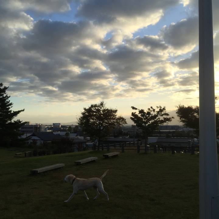 7dc946f9 4887 4e4e a0b8 58c9a25e5307