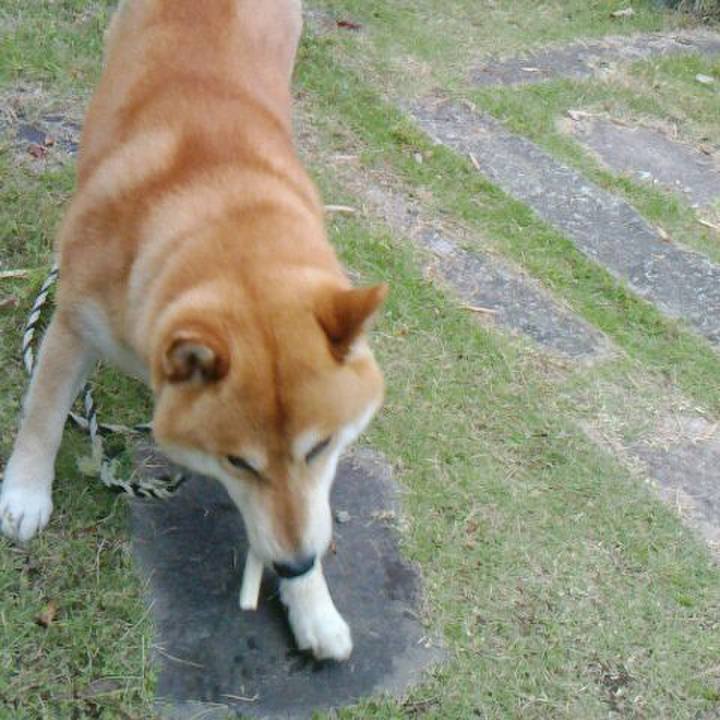 7dc9f72e ab09 4c3e ab43 e5ef6e66501d