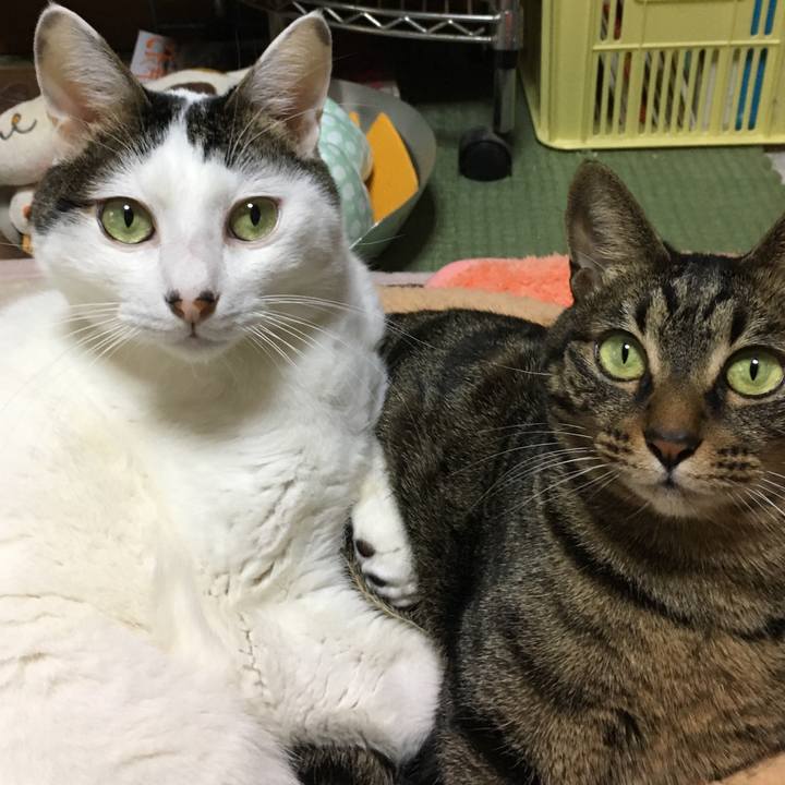 7dca87d1 2490 4a05 aed3 04217fec47cb