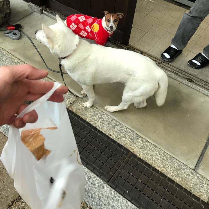 7dca99c7 95db 49a3 ac50 65ce358b81c6