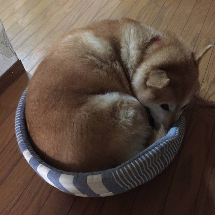 7dcaac5b 8ecf 4d82 aefa 7455e6ce14a8