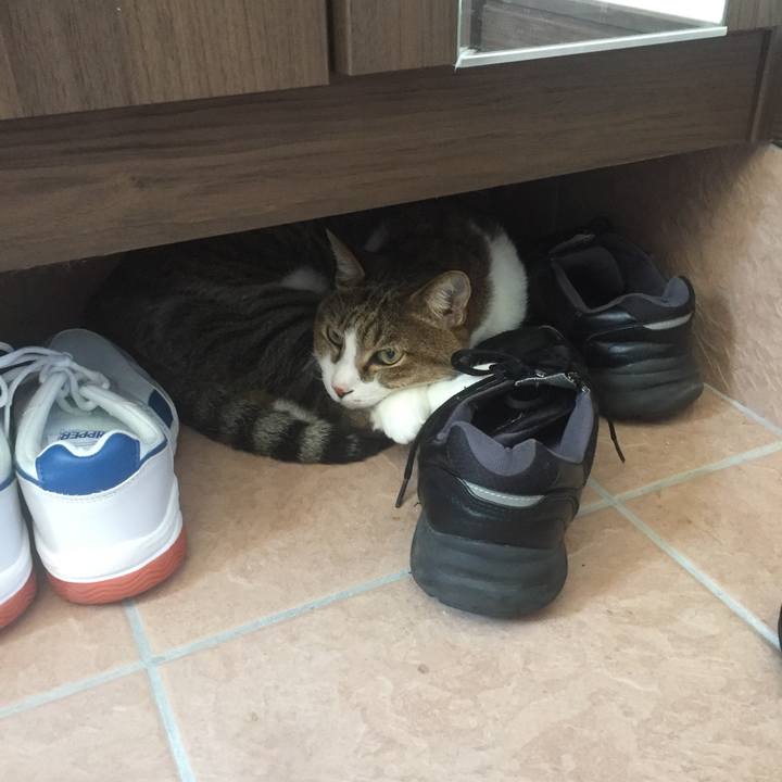 7dcb19d0 97f3 4bb8 972d b3f81f0466fb