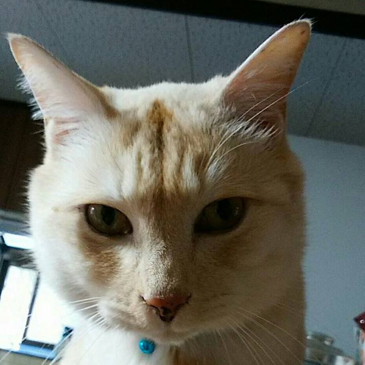 7dcba4df e03a 49d4 affc fb1cb0655ad6