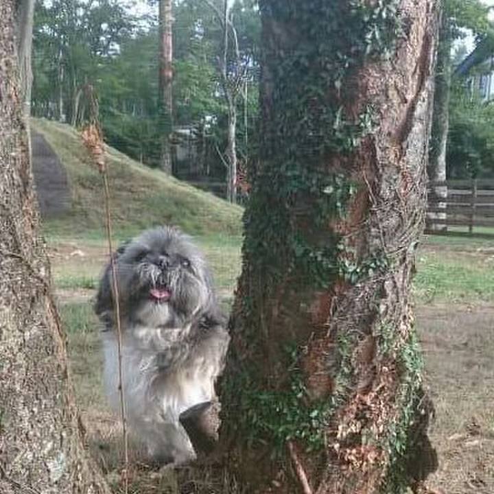 7dcc994b 50cd 48f3 8e36 895fad2c24e6