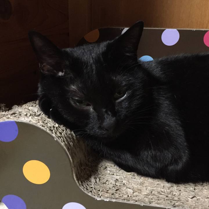 7dcd003f c323 4d7b b6c8 b4572064a84c