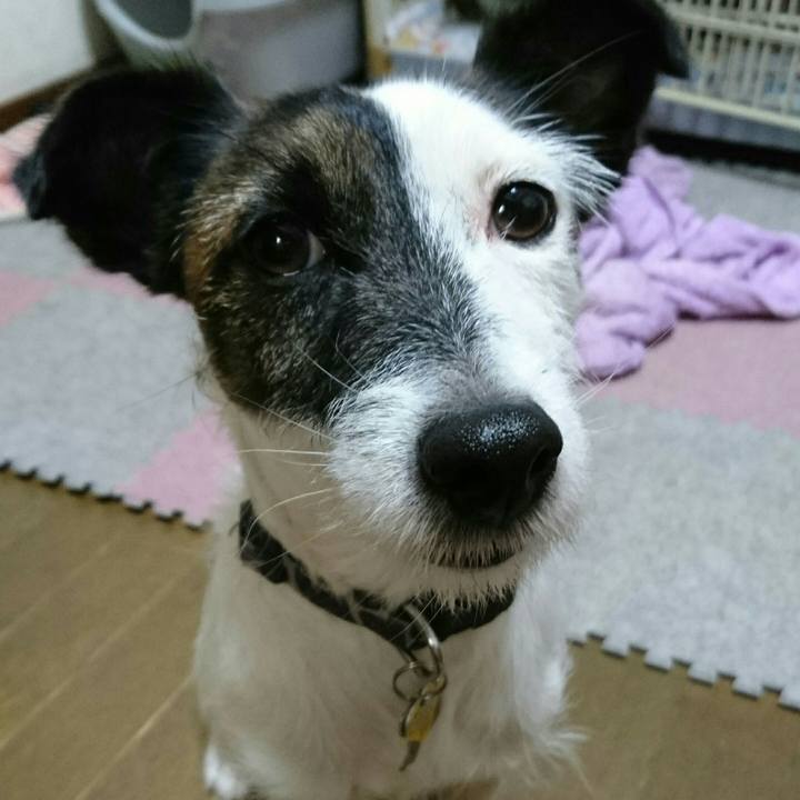 7dcd0cf6 4f8f 4274 adb9 5f272f3cc556