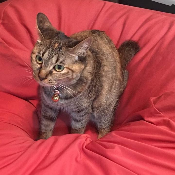 7dcd6640 ff46 49f3 8540 2a6fa451a3c8