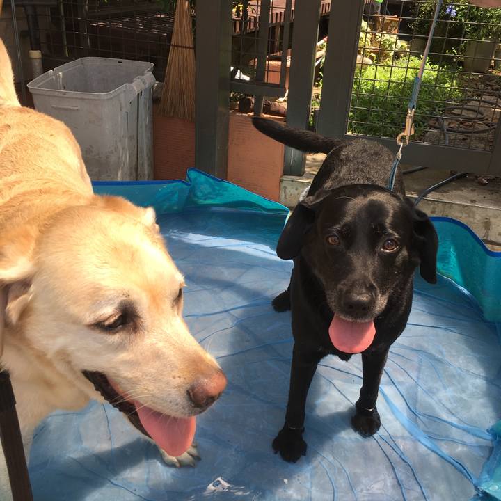 7dcdb257 3cd4 4f57 9374 ea39a65655ed