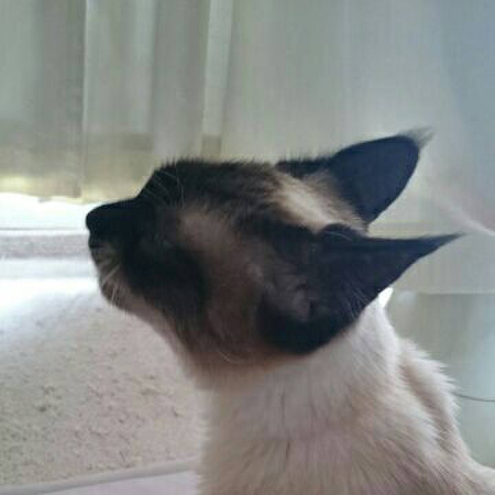 7dcec84f 558a 48d9 a524 e3d1d5952bae