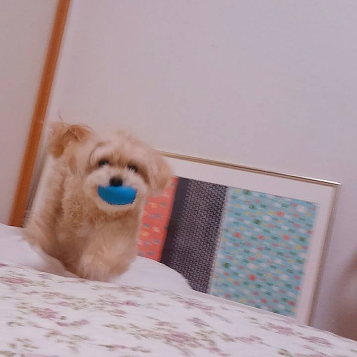 7dcee1b4 3a69 479b 9854 f1f8c9c092df