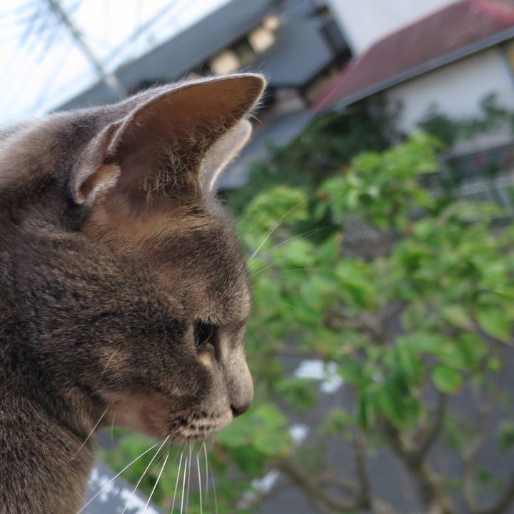 7dcf0eec 84a3 4951 b12f dc6433fb7c19