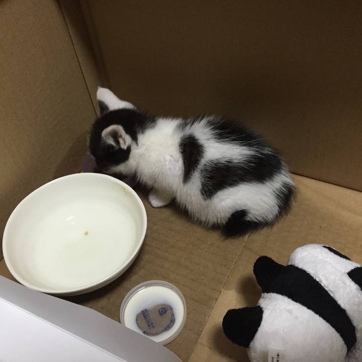 7dcf3ff5 1913 4aab 9d27 d74d092c7967