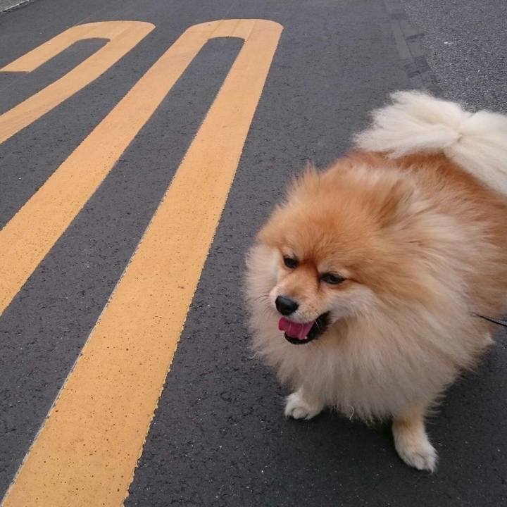 7dd034b1 8870 4a26 a8ed e764927dc0e1