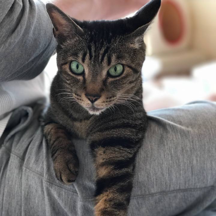 7dd0bc80 4c3c 4899 bd43 07e6846aba7c