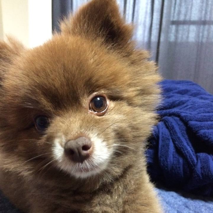 7dd0c65d d64d 44e0 9c59 6aa76b99b7c5