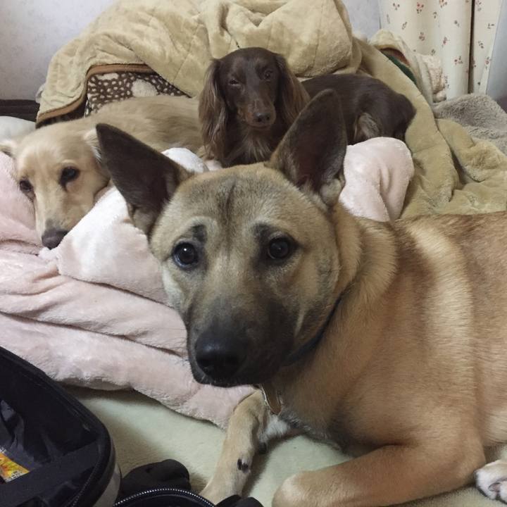 7dd0c809 3126 4748 912f ec64574a496c