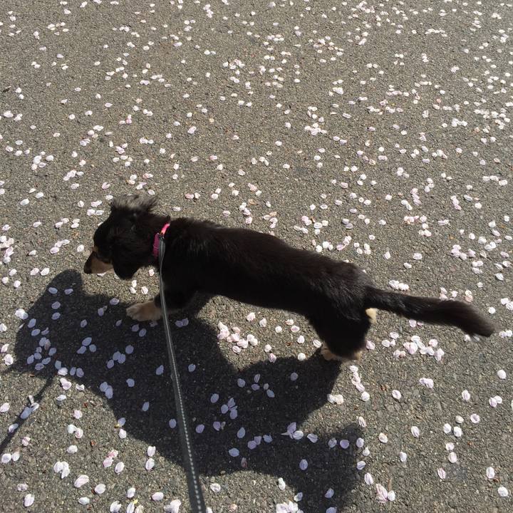 7dd0d7c6 f3ab 4814 82fa dab1b64e816e