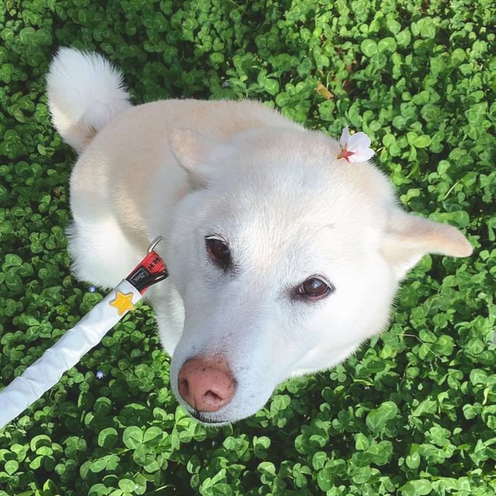 7dd0fd03 ee70 4761 b3a8 3c7674503889