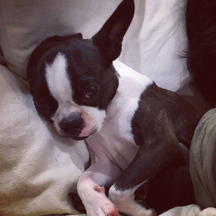 7dd1e993 911f 4165 877c 01add4d8a8c6