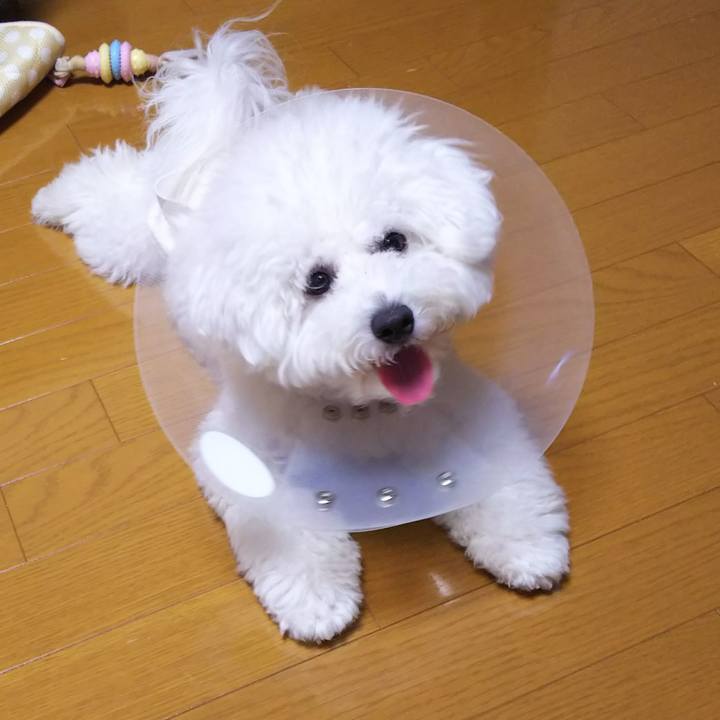 7dd41eda 1474 4722 a266 bfefbb48dfcd