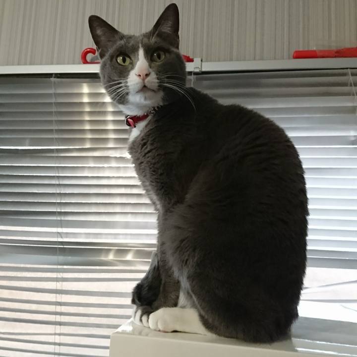 7dd44a02 1121 4c9b b5ad c189c2203a4d