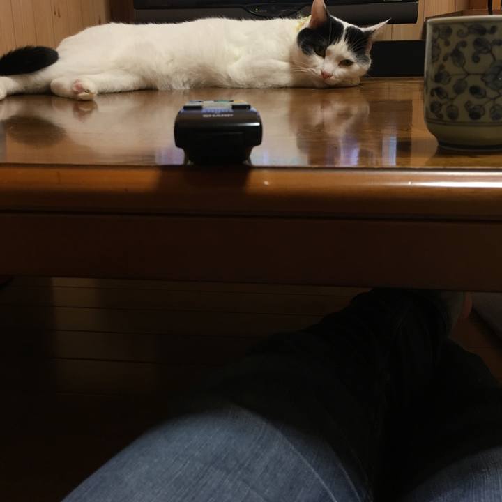 7dd44d53 799f 4cb1 b331 c75467e83108