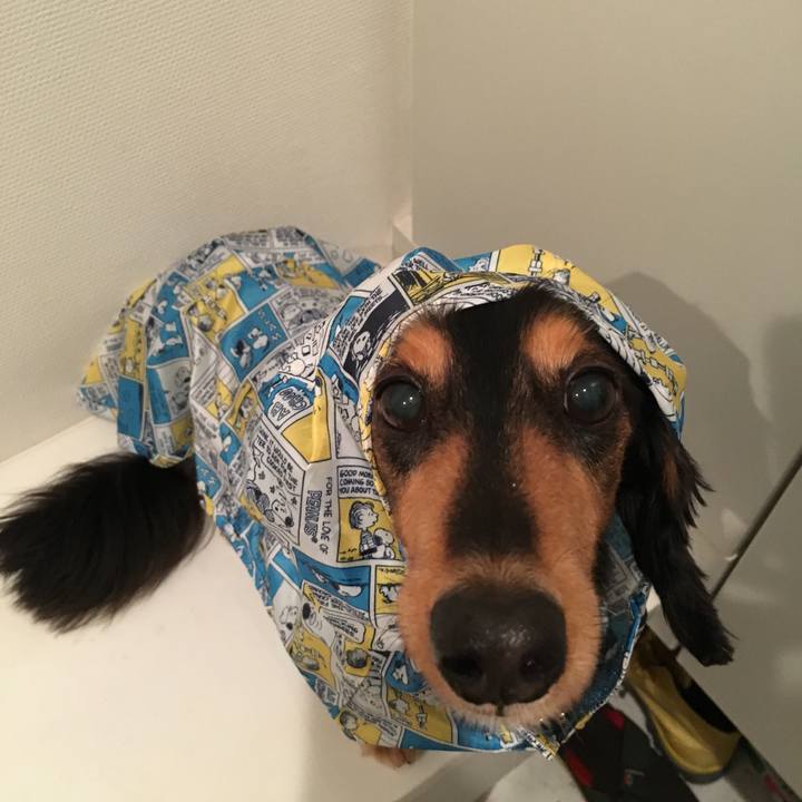 7dd47413 443f 47af a125 1f393fb0a323