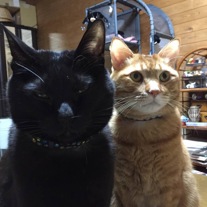 7dd474ed 7177 483b b70b 487607bd988c