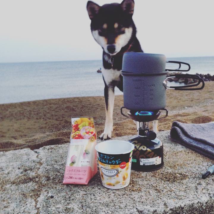 7dd48b8d 0c49 42fb b3e8 f675593b5a18