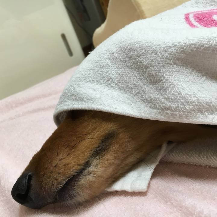 7dd51682 2741 4a36 9fc7 c33bb5bffd81