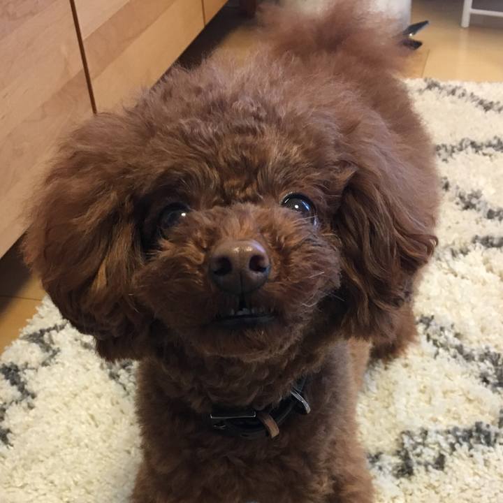 7dd570dd bb4a 467c a978 e5f49d26678f