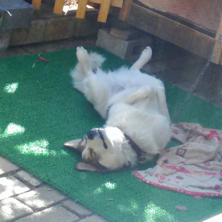 7dd5f4a4 0f5e 4869 a37a 772493860eed