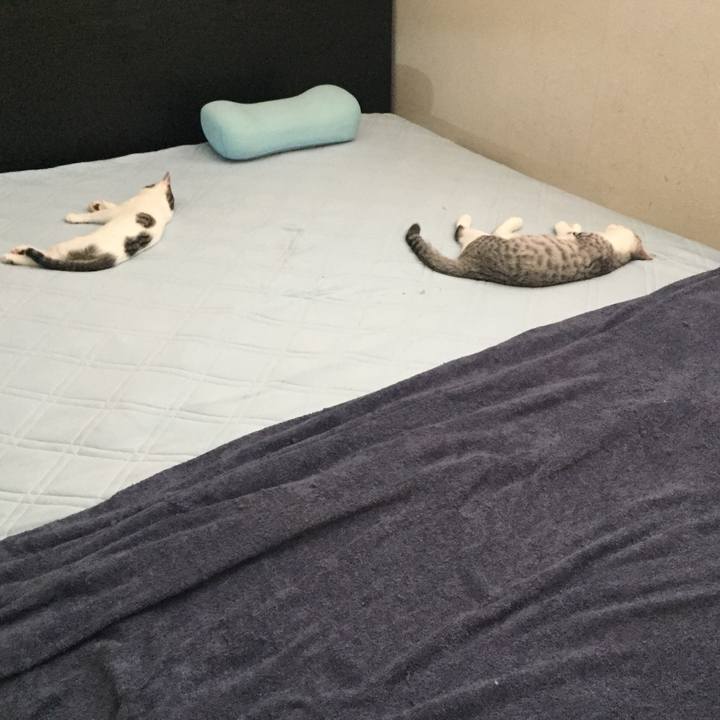 7dd63cb4 592a 43ba a0a5 171c32c85974