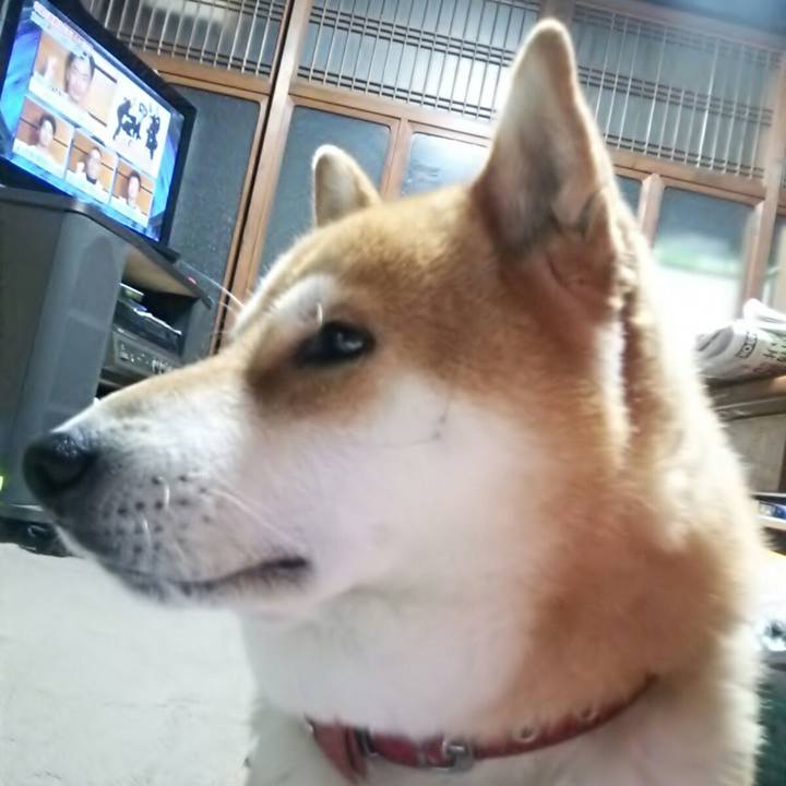 7dd70aa7 924b 499c a4e2 a8cc89e00e68