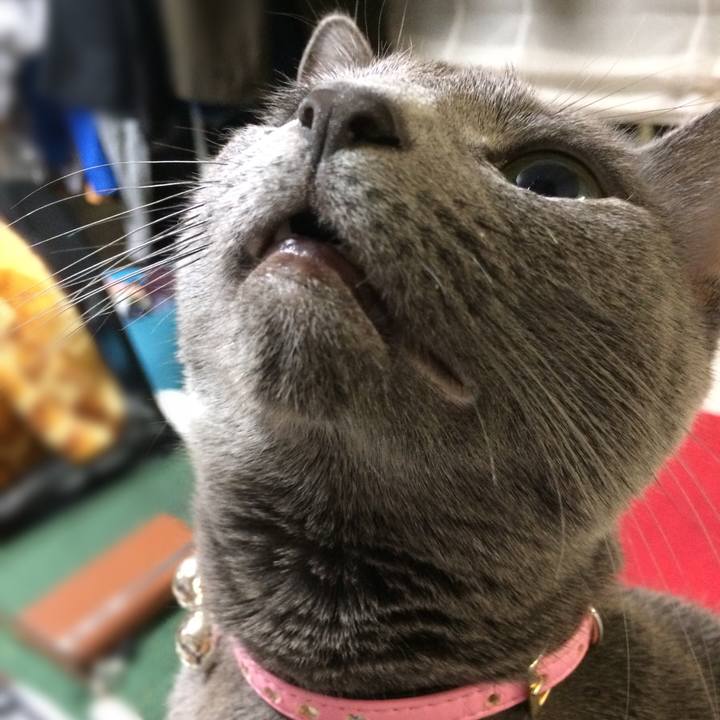 7dd797d2 0492 4a00 8cb4 25bd28f8249d